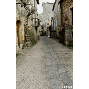 Old Aged Mud Tile-roofed House Building Vinyl Photography Backdrops