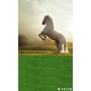 White Horse in Green Grasslands Photography Photo Backdrops