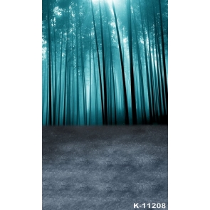 Moonlight Bamboo Forest Scenic Photo Drop Background