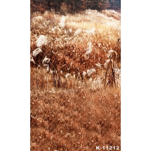 Autumn Fall Reed Marshes Scenic Rustic Photo Wall Backdrop