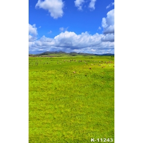 Scenic Green Prairie White Clouds Photography Backgrounds and Props