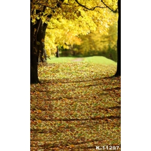 Autumn Fall Garden Park Fallen Leaves Path Scenic Photo Prop Background