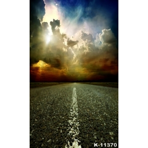 Shocking Cloudy Stone Road Scenic Backdrops Vinyl Photo Backdrops