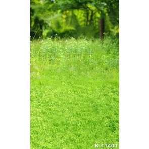 Scenic Green Grassland Rustic Backdrops for Photography