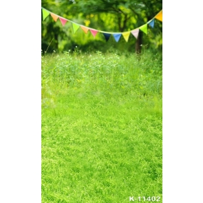 Scenic Green Grassland Colored Flags Rustic Backdrops for Photography