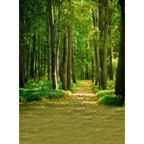 Scenic Green Forest Path Rustic Backdrops for Photography