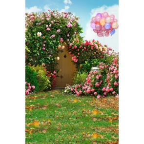 Colorful Balloons Red Roses Flowers Gate Photography Background Props