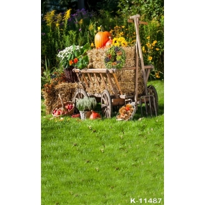 Rustic Farm Pumpkin Fruits Scenic Photography Background Props