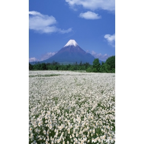 Rustic Scenic Sea of White Flowers Snow Mountaintop Picture Backdrop