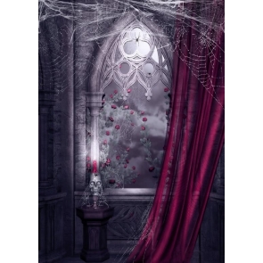 Ruined Spider Web Vintage Medieval Window Halloween Photography Backdrops