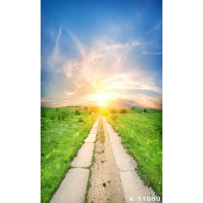 Gold Under The Sun Country Road In The Steppe Wedding Backdrops