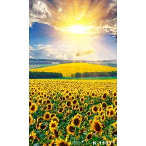 Gold Under The Sun Sunflower Flower Sea Sunflower Wedding Backdrops