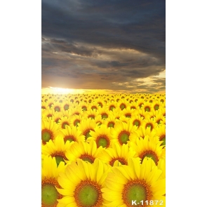 Under The Dark Clouds Diy Sunflower Backdrop Decoration