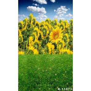 Blue Sky White Clouds Green Meadow Sunflower Photo Booth Backdrop