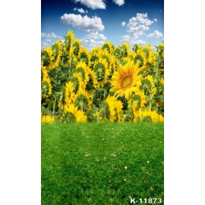 Blue Sky White Clouds Green Meadow Sunflower Photo Booth Backdrop