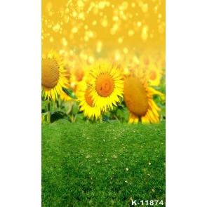 Green Meadow Gold Wall Background Sunflower Birthday Backdrop