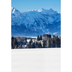 Snow Covered Forest Mountain Backdrop Studio Photography Background