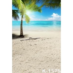 Sunny Day Coconut Tree Blue Sky Seaside Beach Photo Backdrops
