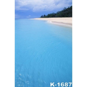 Blue Sky Sea Sandy Beach Summer Holiday Scenic Photography Photo Backdrops