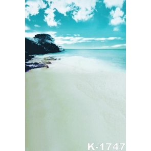 Bluish Green Sky Sea Beach Seaside Picture Backdrops