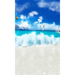 Summer Holiday Seagulls Hot Balloons above Blue Sea Beach Photo Drop Background