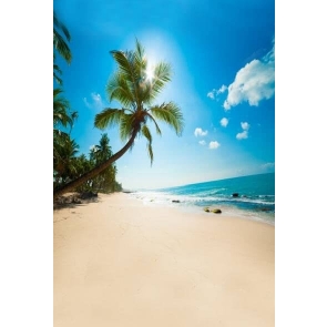 Summer Holiday Sunny Day Coconut Tree Seaside Beach Photography Background