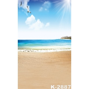 Summer Sunny Day Seagulls Flying over Beach Photo Prop Background
