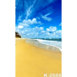 Scenic Yellow Beach Blue Sea Backdrop Background for Photography