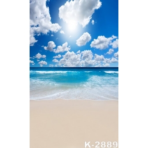 Summer Sunny Day Sea Waves Seaside Beach Photo Drop Background