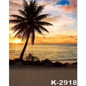 Coconut Tree by Seaside under Sunset Scenic Beach Backdrops
