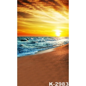 Sea Waves Sandy Beach under Sunset Scenic Photo Prop Background