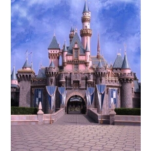 Beautiful Castle Backdrop For Birthday Party Photography Background