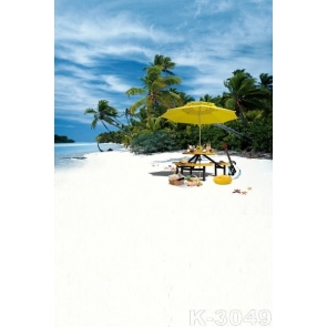 Seaside Island Beach for Picnic Backdrop Background for Photography