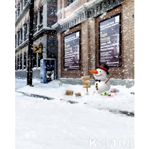 Snowing Street Indicator Christmas Photo Background Photography Backdrops