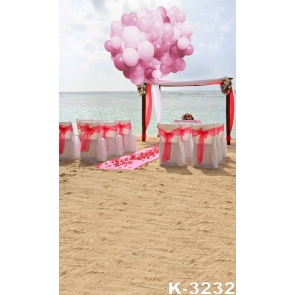 Romantic Pink Balloons Beach Wedding Pro Photo Backdrops