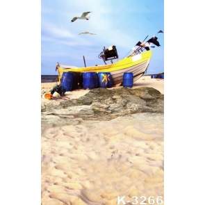 Seaside Boat Seagulls Sandy Beach Backdrop Background for Photography