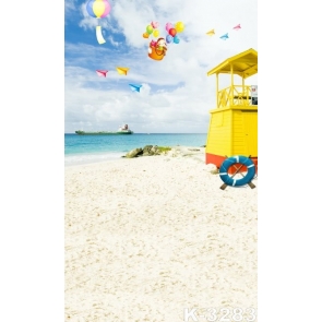 Scenic Seaside Beach Paper Planes Balloons Picture Backdrop