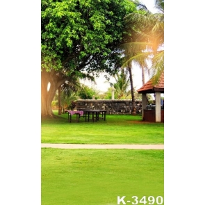 Green Grassland Big Tree in the Yard Scenic Photography Backdrops