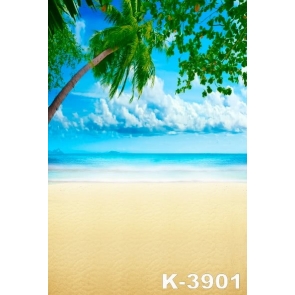 Blue Sky White Clouds Coconut Tree Beach Backdrop