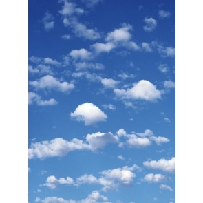 Scenic Blue Sky White Clouds Vinyl Photography Backdrops