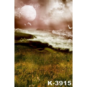 Scenic Moon Sea Grass Vinyl Photography Backdrops