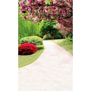 Roadside Green Grass Land Flowers in Park Scenic Photo Backdrop