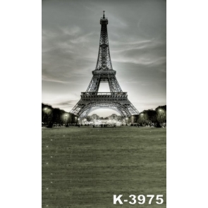 Paris Eiffel Tower City Night Vinyl Photography Background Backdrops