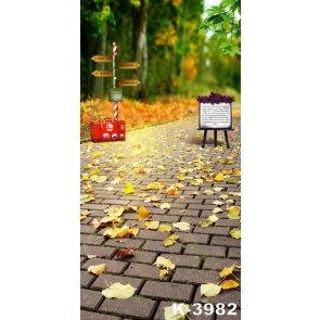 Forest Road Weathervane Personalized Children Photography Backdrop