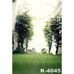 Horizontal View Green Trees Indoor Vinyl Wedding Photography Backdrops