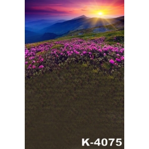 Flowers on Mountaintop Sunset Scenic Photography Backgrounds and Props