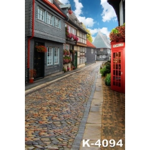 Retro Ancient Stone Street Road Building Backdrops Vinyl Photography Background