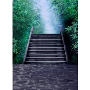 Spring Stone Bridge in Bamboo Grove Scenic Photoshoot Background