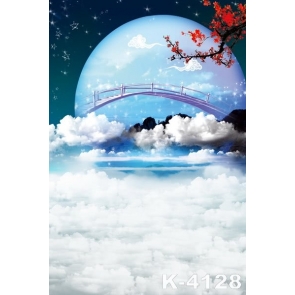 Moon in Clouds Bridge in Moon Vinyl Photo Scenic  Backdrops