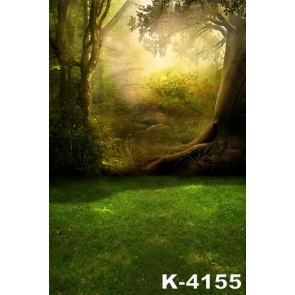 Groves in Fairy Tales Green Grassland Scenic Photography Background Props